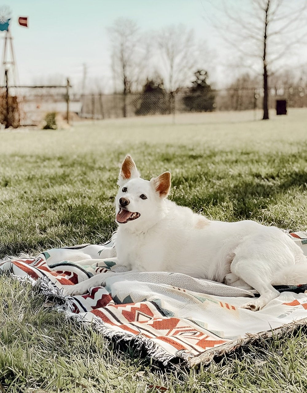 Bohemian Reversible Picnic Blanket Washable Jacquard Cotton Blend-Bedding & Bath > Blankets-casanuva-casanuva