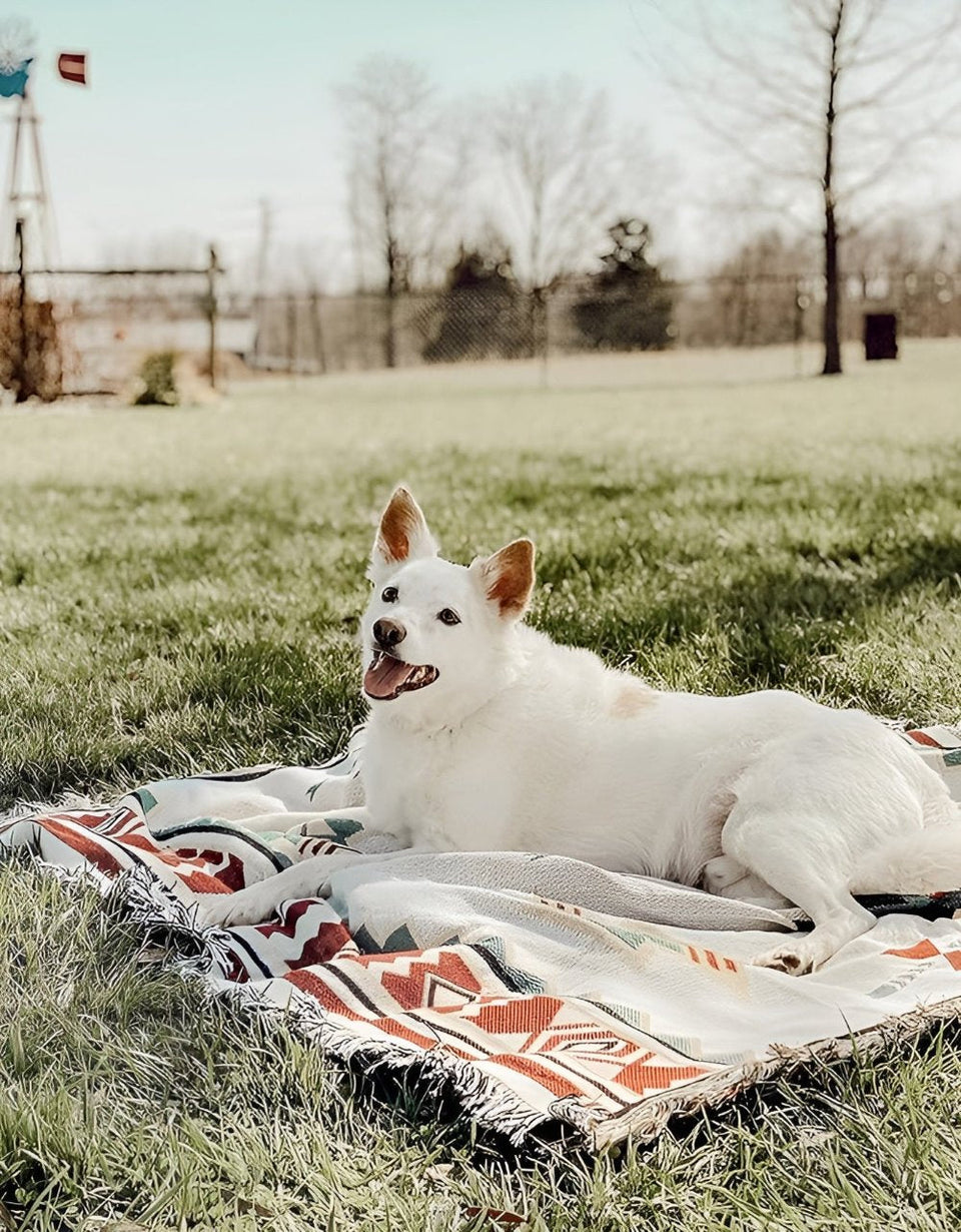 Bohemian Reversible Picnic Blanket Washable Jacquard Cotton Blend-Bedding & Bath > Blankets-casanuva-casanuva