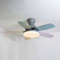 Ceiling Fan Light with Dimmable LED and Modern Design-Lighting > Ceiling Lights-casanuva-Grey & Colourful 100c...-3-Color Changeable-casanuva