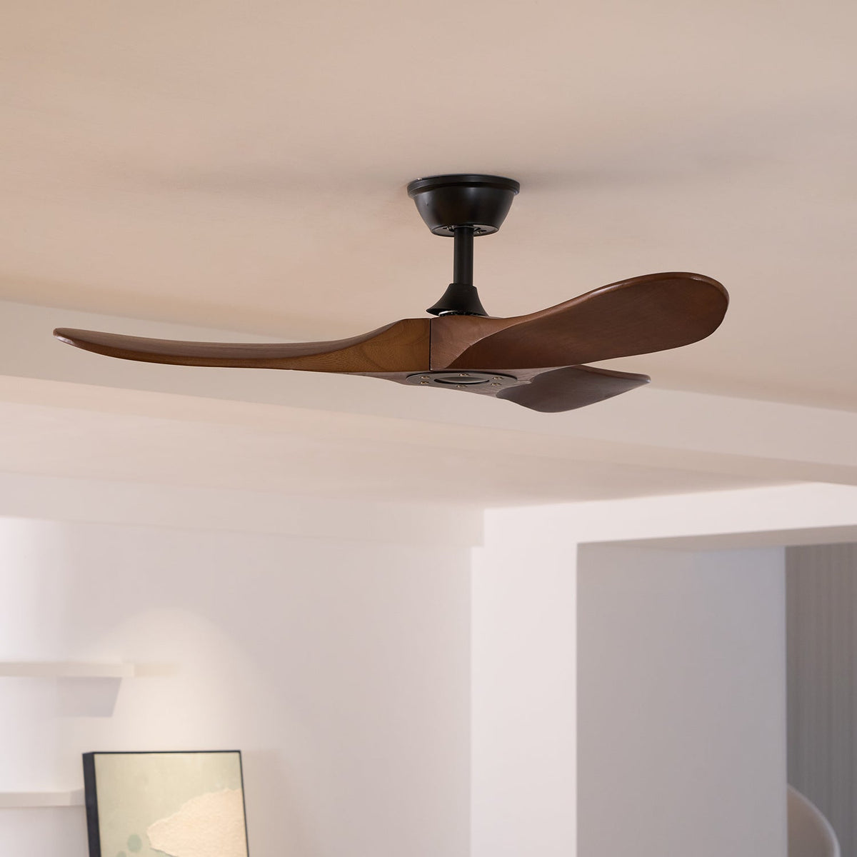 Ceiling Fan with Remote Control and Energy Efficient Design-Lighting > Ceiling Lights-casanuva-casanuva