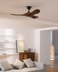 Ceiling Fan with Remote Control and Energy Efficient Design-Lighting > Ceiling Lights-casanuva-casanuva