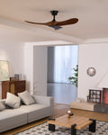 Ceiling Fan with Remote Control and Energy Efficient Design-Lighting > Ceiling Lights-casanuva-casanuva