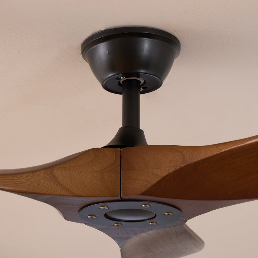 Ceiling Fan with Remote Control and Energy Efficient Design-Lighting > Ceiling Lights-casanuva-casanuva