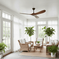 Ceiling Fan with Remote Control and Energy Efficient Design-Lighting > Ceiling Lights-casanuva-casanuva