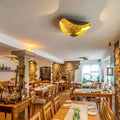 Ceiling Light Fixture Modern Design LED-Lighting > Ceiling Lights-casanuva-casanuva