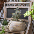 Ceramic Flower Pot with Rope Handles in Jute Bag Design-Home Decor > Decorative Accessories-casanuva-A-casanuva