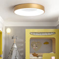 Colorful LED Ceiling Light Simple Design-Lighting > Ceiling Lights-casanuva-Gold-D30*H5CM-White Light-casanuva