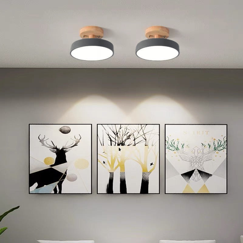 Colorful LED Semi-flush Ceiling Light-Lighting > Ceiling Lights-casanuva-casanuva