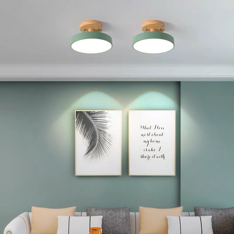Colorful LED Semi-flush Ceiling Light-Lighting > Ceiling Lights-casanuva-Green-D18*H10CM-Neutral Light-casanuva