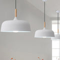 Colorful Pendant Light Modern Design-Lighting > Pendant Lights-casanuva-White-D32*H25cm-casanuva