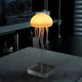 Floating LED Medusa Glow Light-Lighting > Ambient Lighting-casanuva-casanuva