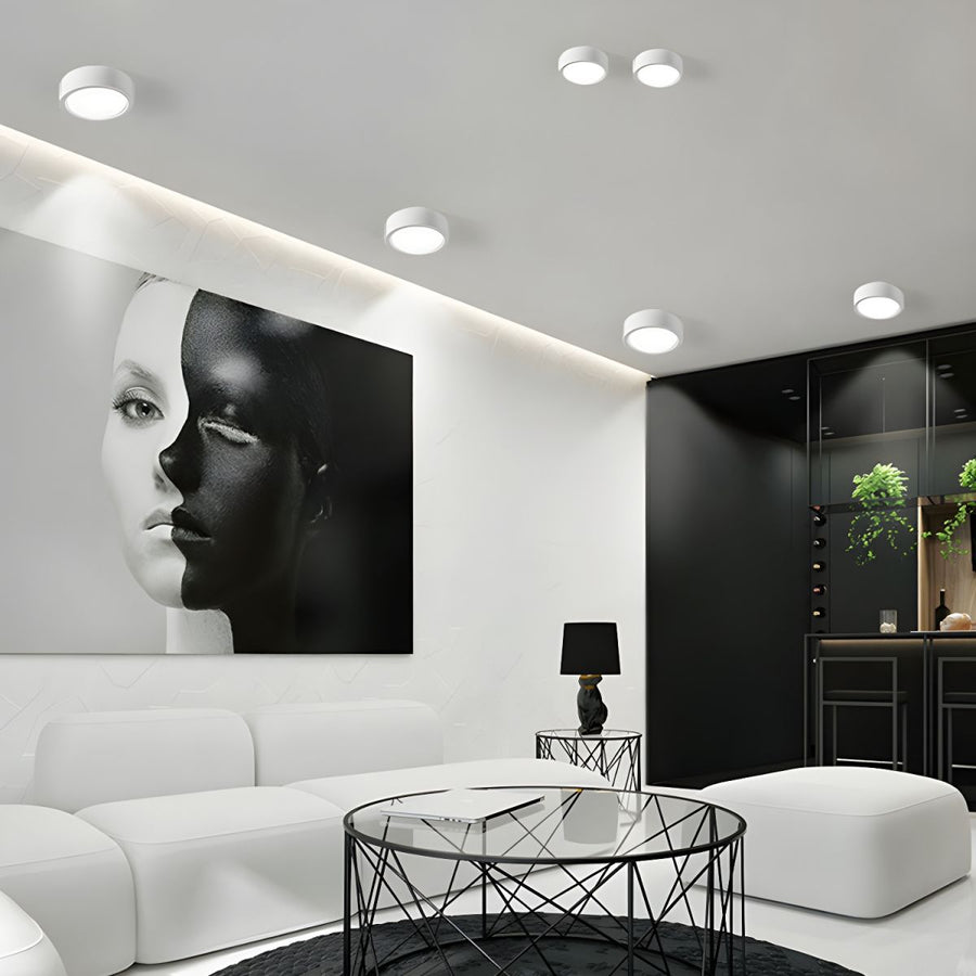 Flush Ceiling Light Nordic Style Indoor Lighting-Lighting > Ceiling Lights-casanuva-White-D14 × H7 cm(12W)-White Light-casanuva