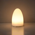 Geometric LED Battery Operated Remote Night Light Table Lamp-Lighting > Ambient Lighting-casanuva-Egg-casanuva