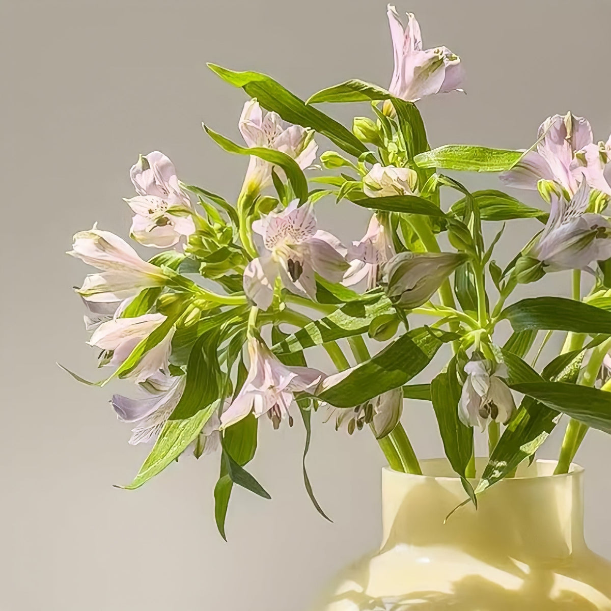 Glass Flower Vase Retro Design-Home Decor > Vases-casanuva-casanuva