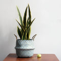 Handmade Boho Willow Foldable Plant Basket-Home Decor > Decorative Accessories-casanuva-casanuva