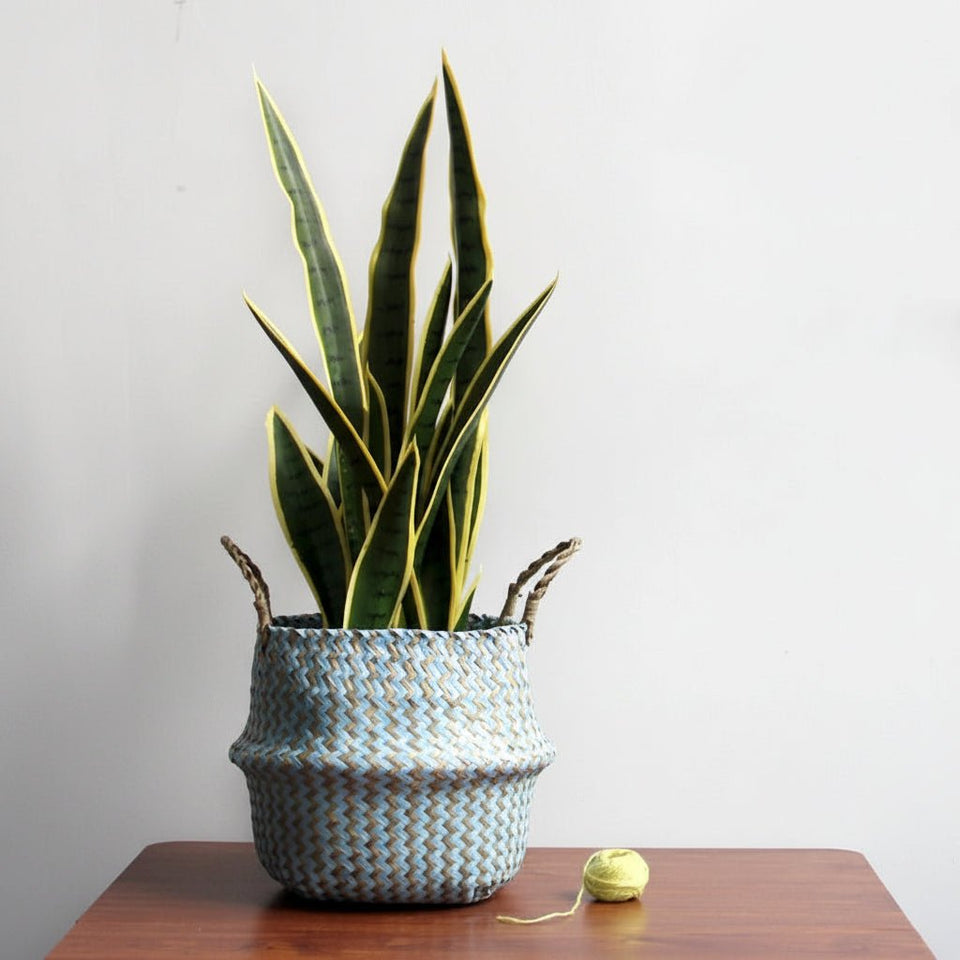 Handmade Boho Willow Foldable Plant Basket-Home Decor > Decorative Accessories-casanuva-casanuva
