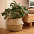 Handwoven Storage Basket for Stylish Organization-Home Decor > Decorative Accessories-casanuva-casanuva