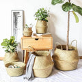 Handwoven Storage Basket for Stylish Organization-Home Decor > Decorative Accessories-casanuva-casanuva