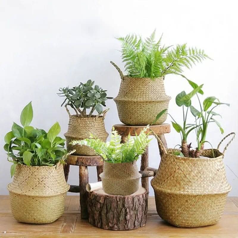 Handwoven Storage Basket for Stylish Organization-Home Decor > Decorative Accessories-casanuva-casanuva