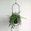 Hanging Planters Modern Luxury Pots-Home Decor > Decorative Accessories-casanuva-Black-Oval-casanuva