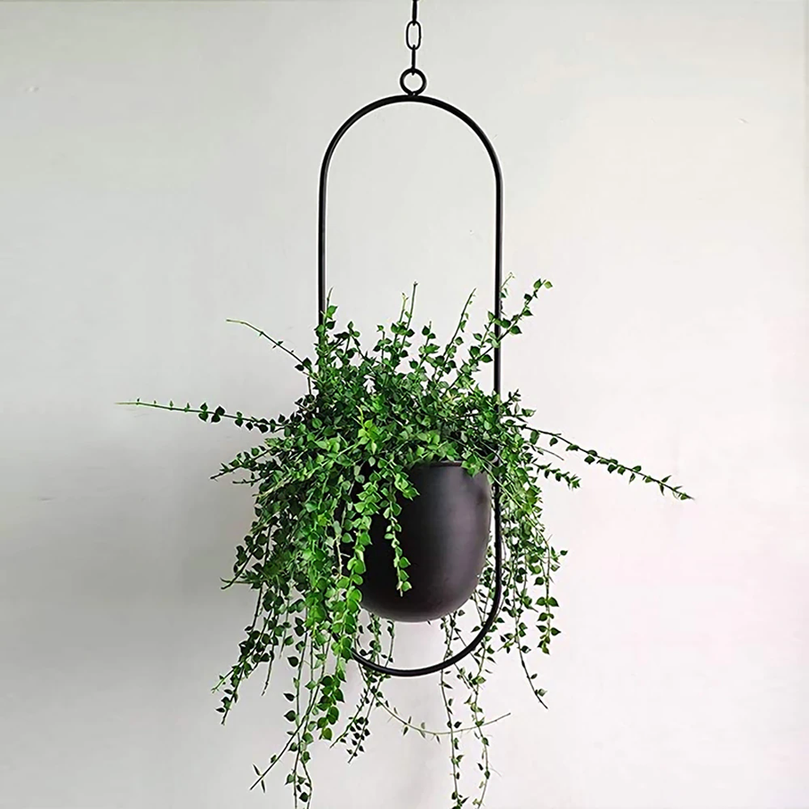 Hanging Planters Modern Luxury Pots-Home Decor > Decorative Accessories-casanuva-Black-Oval-casanuva