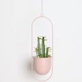 Hanging Planters Modern Luxury Pots-Home Decor > Decorative Accessories-casanuva-Pink-Oval-casanuva