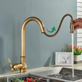 Kitchen Faucet Pull-Out Spray Retro Black Gold Finish-Kitchen & Dining > Kitchen Faucets-casanuva-casanuva