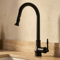Kitchen Faucet Pull-Out Spray Retro Black Gold Finish-Kitchen & Dining > Kitchen Faucets-casanuva-casanuva