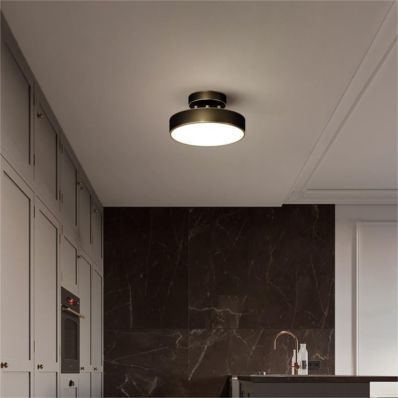 LED Adjustable Ceiling Light-Lighting > Ceiling Lights-casanuva-casanuva