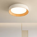 LED Ceiling Light Modern Design-Lighting > Ceiling Lights-casanuva-casanuva