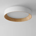 LED Ceiling Light Modern Design-Lighting > Ceiling Lights-casanuva-casanuva