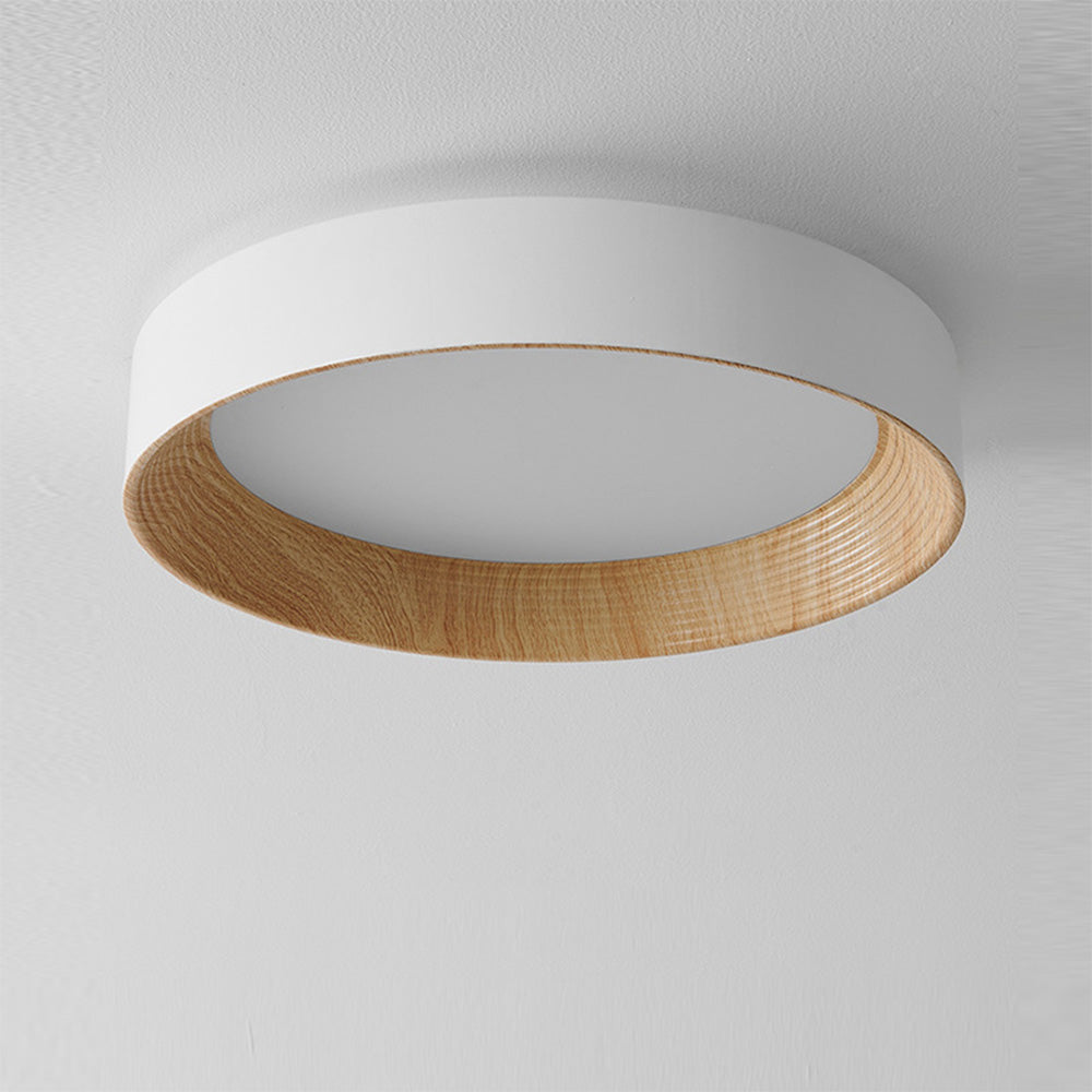 LED Ceiling Light Modern Design-Lighting > Ceiling Lights-casanuva-casanuva