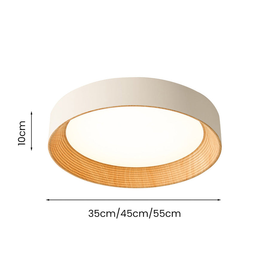 LED Ceiling Light Modern Design-Lighting > Ceiling Lights-casanuva-casanuva