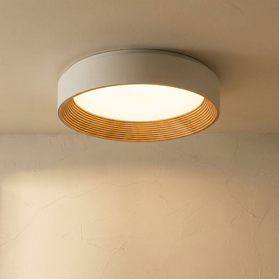 LED Ceiling Light Modern Design-Lighting > Ceiling Lights-casanuva-casanuva