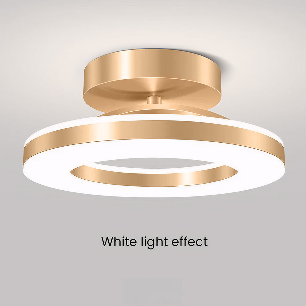 LED Ceiling Light Modern Iron Hallway Fixture-Lighting > Ceiling Lights-casanuva-casanuva