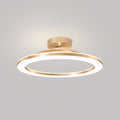 LED Ceiling Light Modern Iron Hallway Fixture-Lighting > Ceiling Lights-casanuva-Gold-D50*H8CM-White Light-casanuva