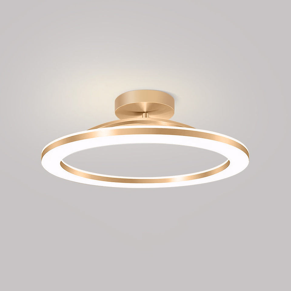 LED Ceiling Light Modern Iron Hallway Fixture-Lighting > Ceiling Lights-casanuva-Gold-D50*H8CM-White Light-casanuva