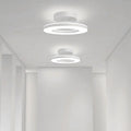 LED Ceiling Light Modern Iron Hallway Fixture-Lighting > Ceiling Lights-casanuva-White-D20*H8CM-White Light-casanuva