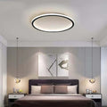 LED Ceiling Light Nordic Style Disc Design-Lighting > Ceiling Lights-casanuva-Black-D20cm*H5cm-Warm Light-casanuva