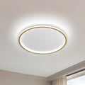 LED Ceiling Light Nordic Style Disc Design-Lighting > Ceiling Lights-casanuva-Gold-D30cm*H5cm-White Light-casanuva