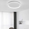 LED Ceiling Light Nordic Style Disc Design-Lighting > Ceiling Lights-casanuva-White-D40cm*H5cm-White Light-casanuva