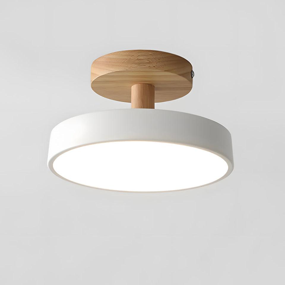 LED Round Ceiling Light for Hallway in Modern Iron Design-Lighting > Ceiling Lights-casanuva-casanuva