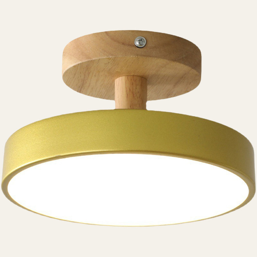 LED Round Ceiling Light for Hallway in Modern Iron Design-Lighting > Ceiling Lights-casanuva-casanuva