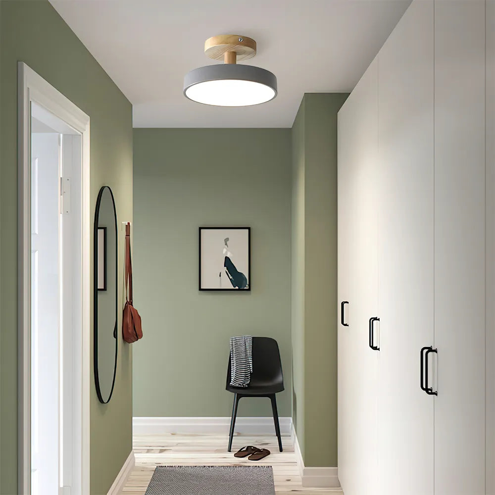 LED Round Ceiling Light for Hallway in Modern Iron Design-Lighting > Ceiling Lights-casanuva-Gray-D18cm*H10cm-Warm Light-casanuva