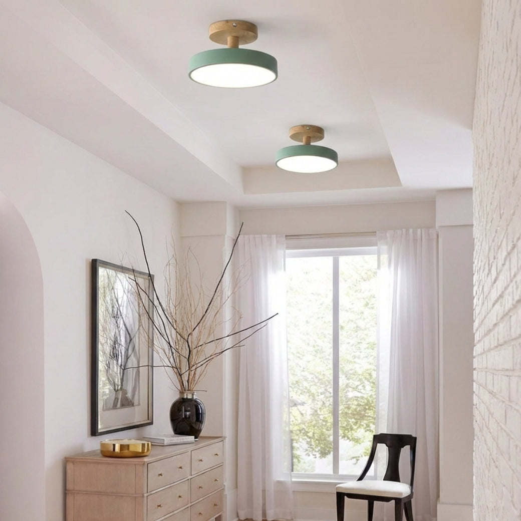 LED Round Ceiling Light for Hallway in Modern Iron Design-Lighting > Ceiling Lights-casanuva-Green-D18cm*H10cm-Warm Light-casanuva
