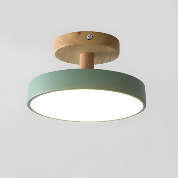 LED Round Ceiling Light for Hallway in Modern Iron Design-Lighting > Ceiling Lights-casanuva-Green-D18cm*H10cm-White Light-casanuva