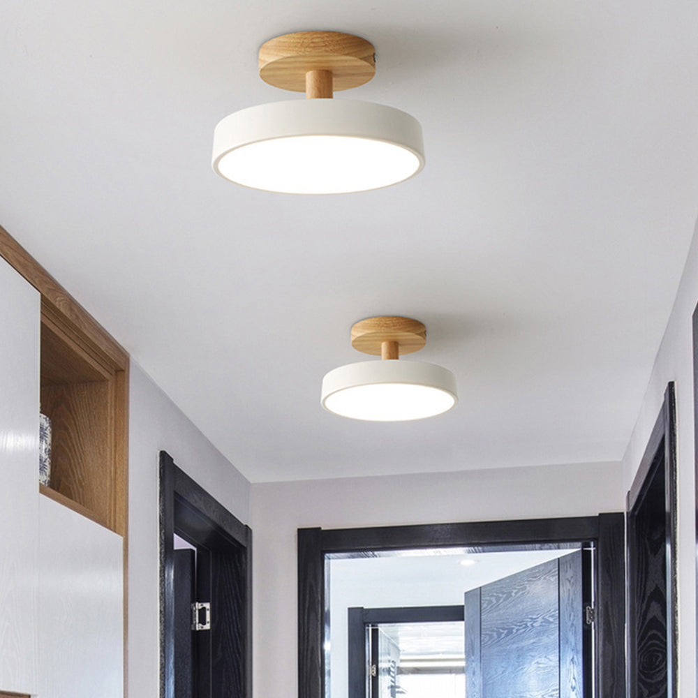 LED Round Ceiling Light for Hallway in Modern Iron Design-Lighting > Ceiling Lights-casanuva-White-D18cm*H10cm-White Light-casanuva