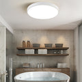 LED Round Flush Mount Ceiling Light-Lighting > Ceiling Lights-casanuva-casanuva