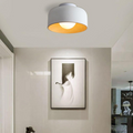 Metal Ceiling Light Fixture-Lighting > Ceiling Lights-casanuva-casanuva