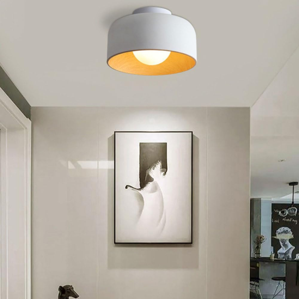 Metal Ceiling Light Fixture-Lighting > Ceiling Lights-casanuva-casanuva